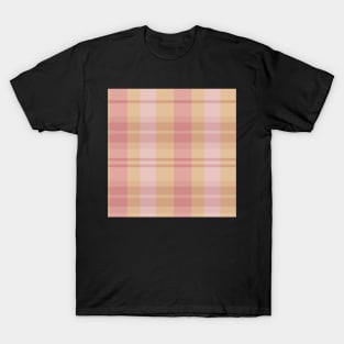 Spring Aesthetic Evander 1 Hand Drawn Textured Plaid Pattern T-Shirt